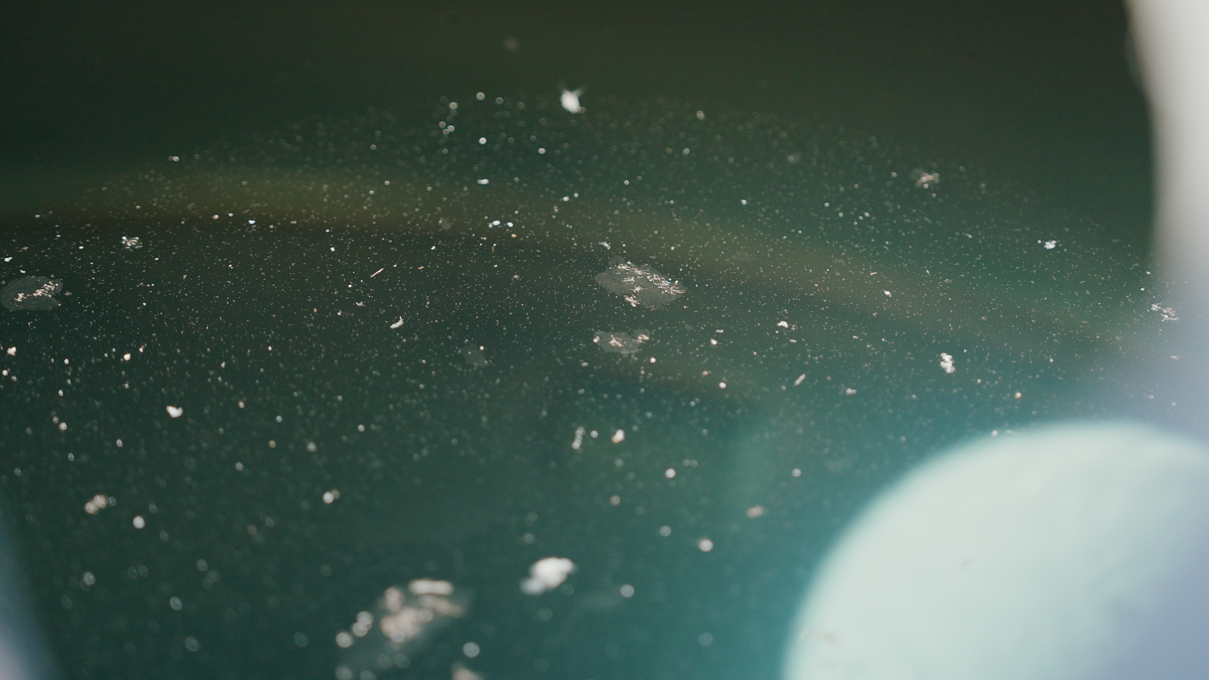 Eau contaminée dans une citerne - particules et algues visibles